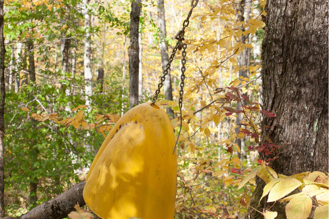 Forestry Accessory Kit