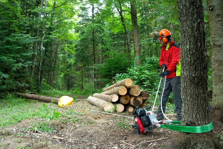 Skidding Cone for Logs