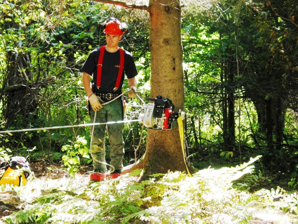 Tree-Mount Winch Anchoring System with Rubber Pads