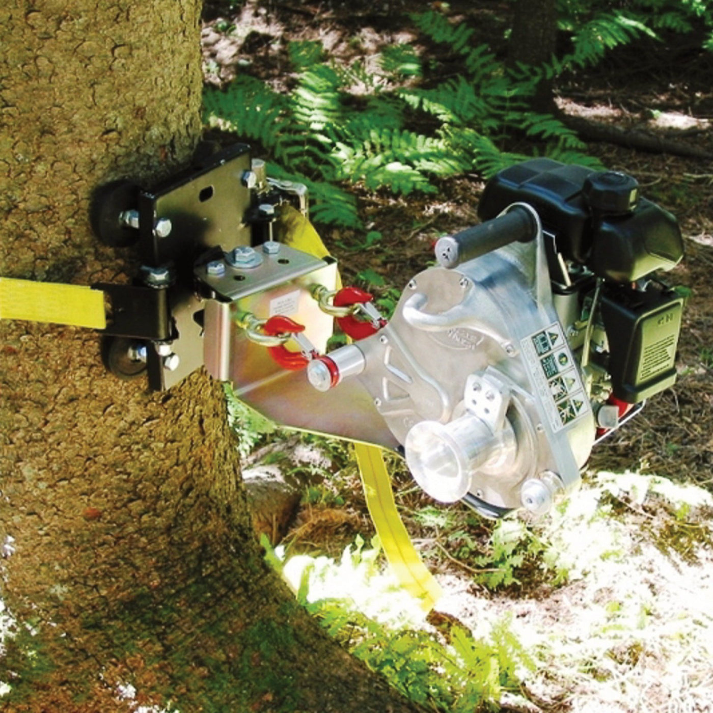 Tree-Mount Winch Anchoring System with Rubber Pads