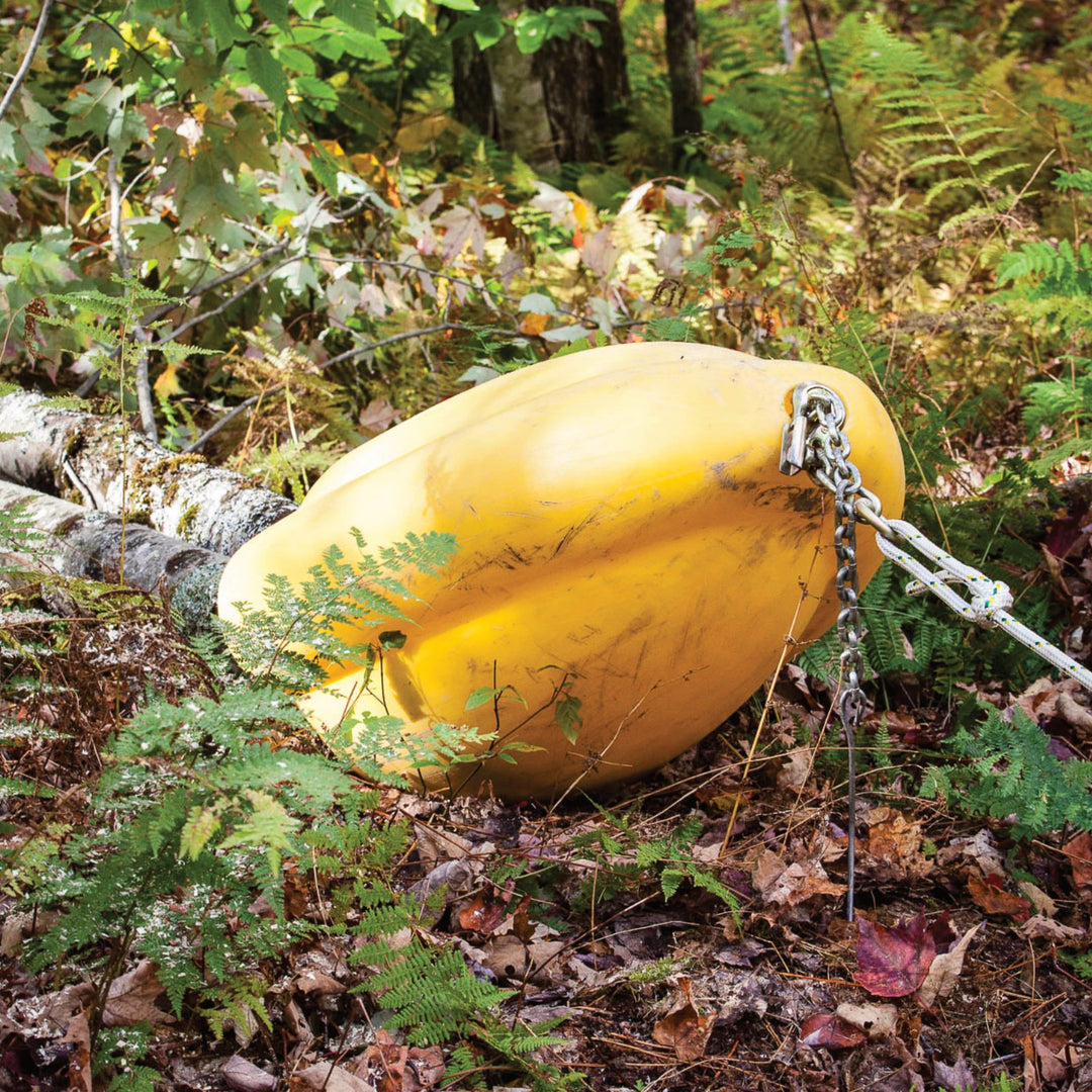 Skidding Cone for Logs