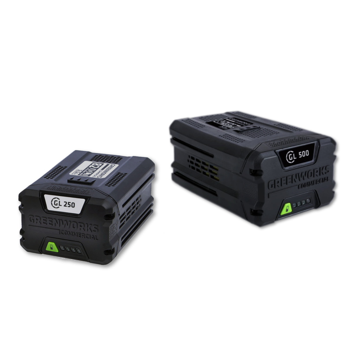 Greenworks batteries and charger
