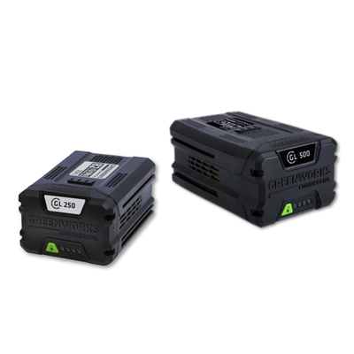 Greenworks batteries and charger