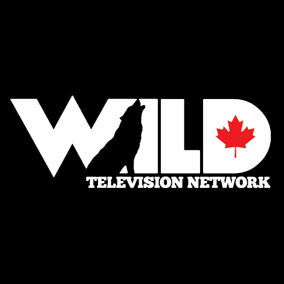 Wild TV